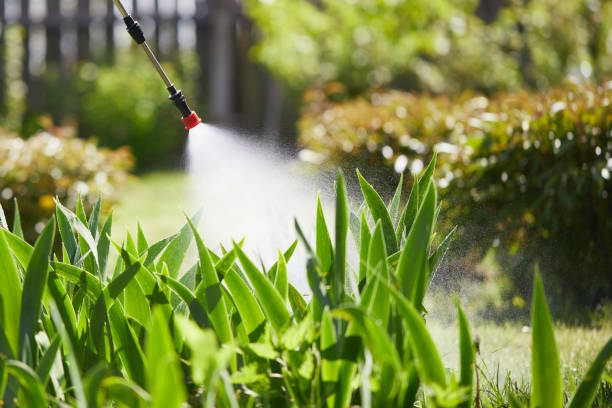 Tamper-Resistant Bait Stations for Rodents in Hapeville