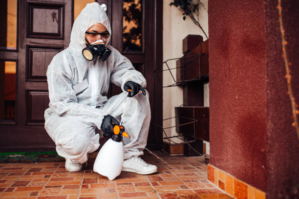 Attic and Crawl Space Rodent Treatment in Hapeville